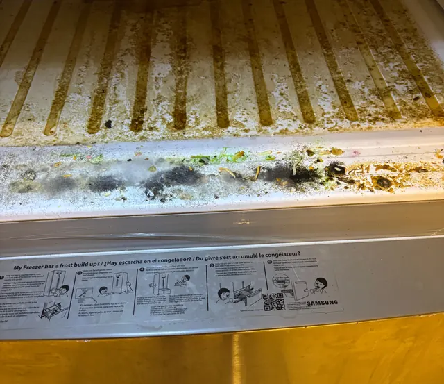 Before: A refrigerator shelf rail with mould and spilled food.