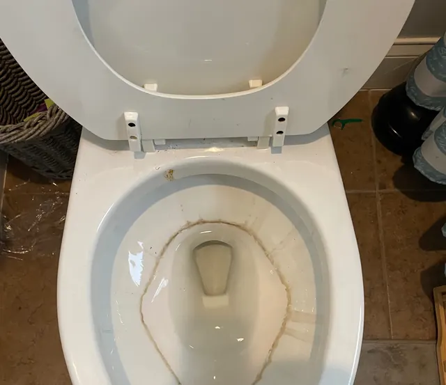Before: A toilet bowl with a brown mineral ring.